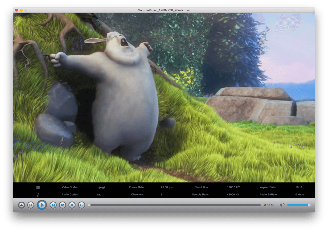 4k video player for mac